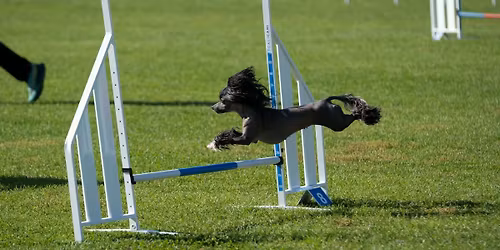 Nidaros Sommerstevne 2026 