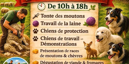 le moutons dans tous ses \u00e9tats 