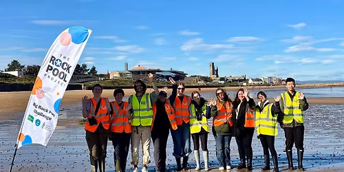 Big Rock Pool Challenge BioBlitz Battle: East Sands, St Andrews