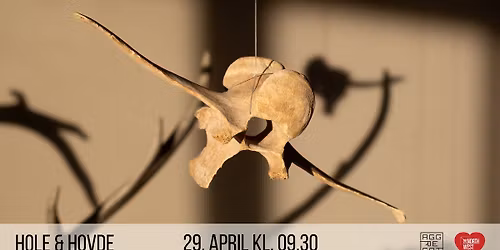 Hole & Hovde til North West festivalen 2026