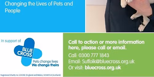 Blue Cross Suffolk 10th Anniversary Open Day