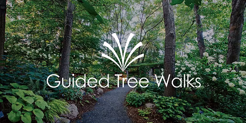 Guided Tree Walks