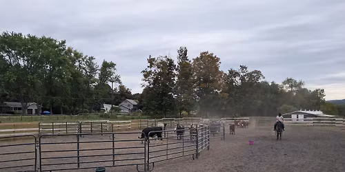 Cattle All-Around Jackpot