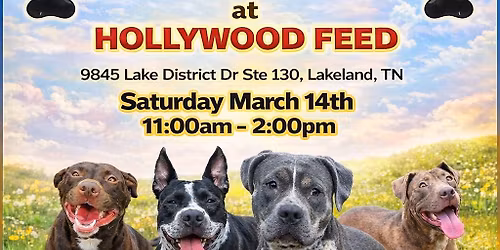 Dogs 2nd Chance Meet & Greet at Hollywood Feed Lakeland