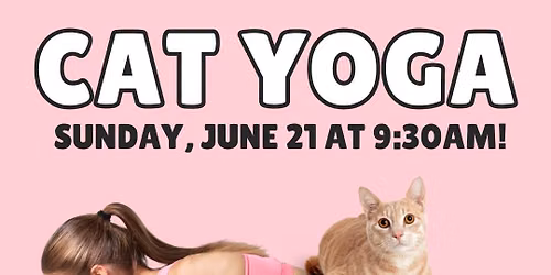 Cat Yoga!