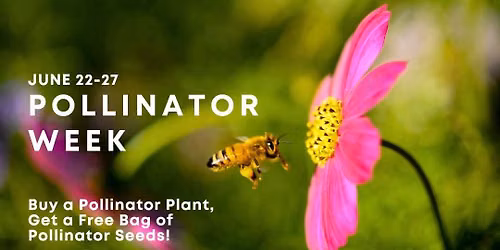 Celebrate the Pollinators with us: Buy a Plant, Get Free Seeds\ud83d\udc1d\ud83c\udf3b