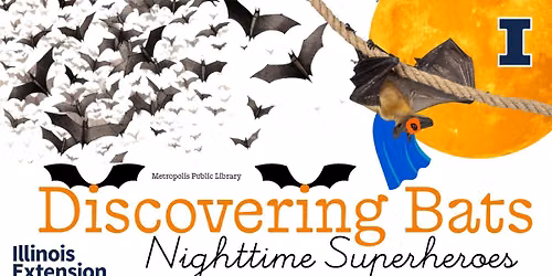 Discovering Bats - Nighttime Superheroes!