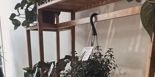 🪴PLANT BINGO 🪴