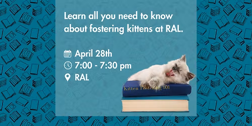 Kitten Fostering 101 | Richmond Animal League
