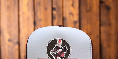 Alabama Crimson Tide at South Carolina Gamecocks Baseball at Founders Park