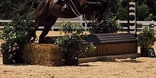 April Jumper Derby at the Virginia Horse Center