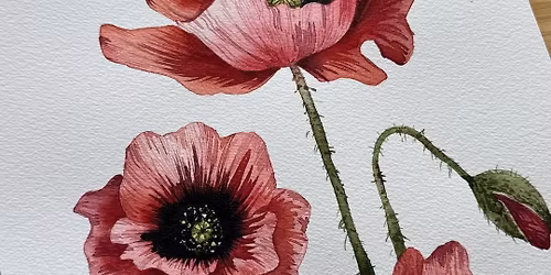 Red Poppies Watercolour Workshop with Rita Gould