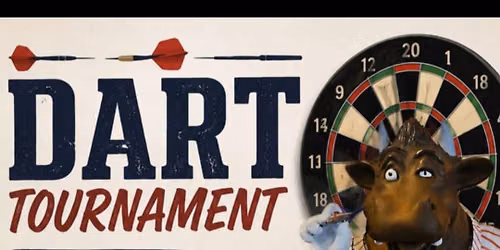 Darts fun night