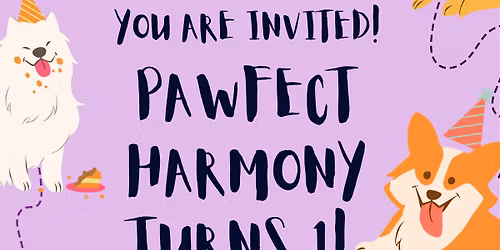 Pawfect Harmony\u2019s 1 year Anniversary \u201cPawty\u201d