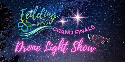 Feilding in Lights - Drone Light Show
