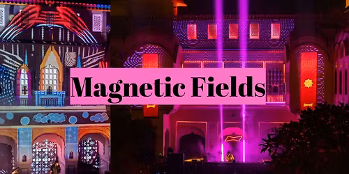 The Magnetic Fields