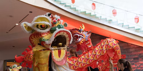 Lunar New Year Celebration