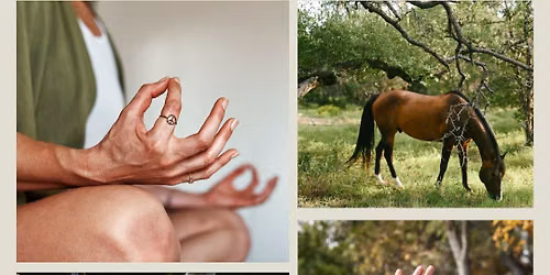 OUR ENERGETIC BODY RETREAT