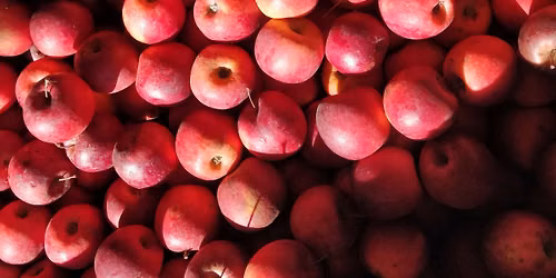 \ud83c\udf4e F\u00caTE DE LA POMME \ud83c\udf4e
