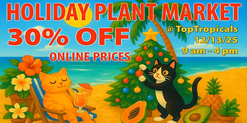 Holiday Plant Market