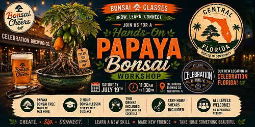Bonsai & Cheers at Celebration Brewing  | Papaya Bonsai Workshop