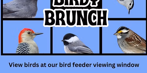 The Birdy Brunch - Birdwatching at the Nature Center
