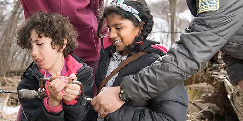 Maple Syrup- A Gift From the Trees