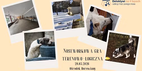 Noseworkowa gra terenowo-logiczna z Detektywi na 4 \u0142apach