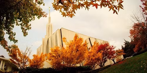Stake Fill the Temple Day