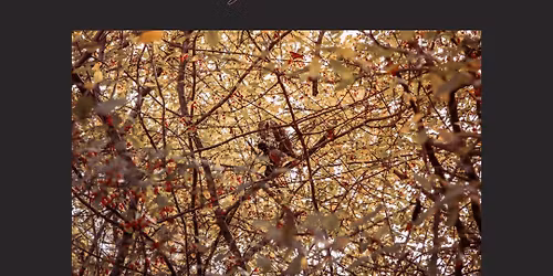 Fall + Holiday Mini Sessions with Village Studio 