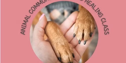 Animal Communication Class with Kimmie 