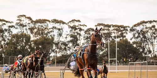 Horsham Race Day