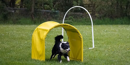 3. Hoopers " Bunny Cup" 