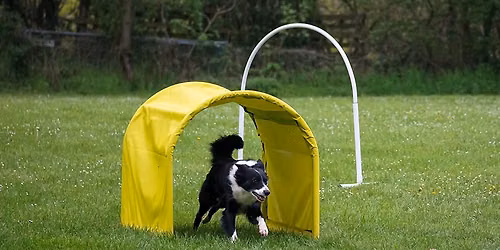 3. Hoopers " Bunny Cup" 