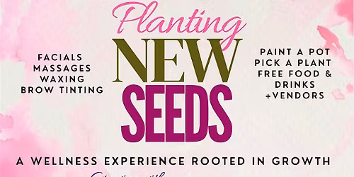 Planting New Seeds