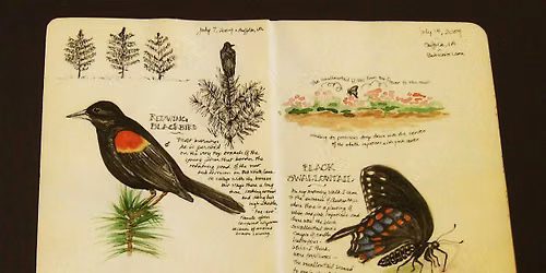 Watercolor Nature Journaling