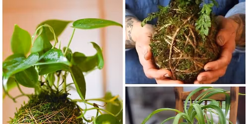 Kokedama Plant Workshop