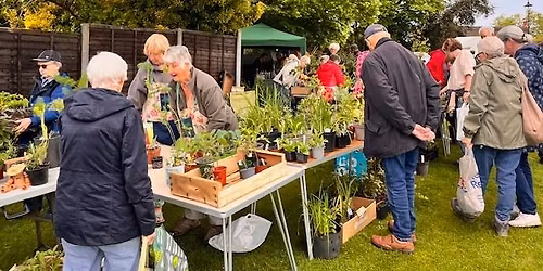 Plant Fair