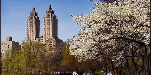 Central Park Loop Spring Fitness Walk