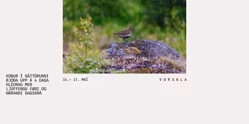 VORS\u00c6LA - hl\u00e9drag me\u00f0 konum \u00ed n\u00e1tt\u00farunni