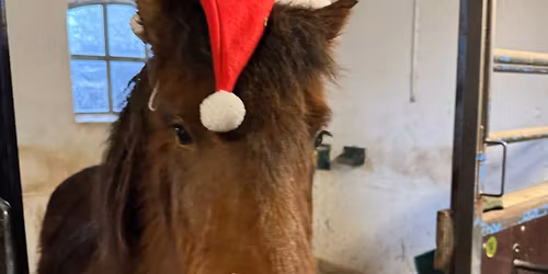 Hildingurs julefrokost