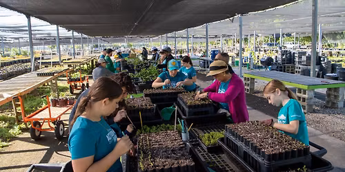 Tree Nursery Volunteer Day