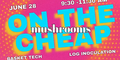Mushrooms on the Cheap