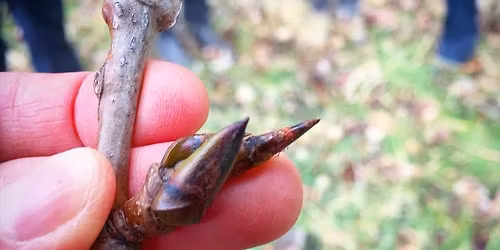 Tending the Winter Landscape