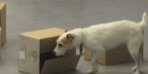 Westlake Village ORT, 28March2026