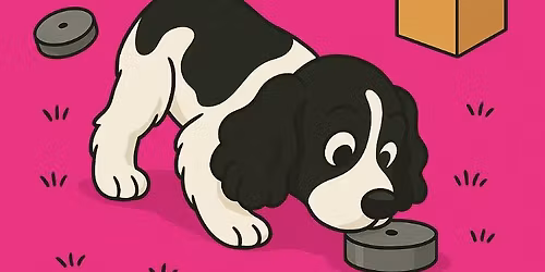 Steget videre fra Nosework Grunnkurs