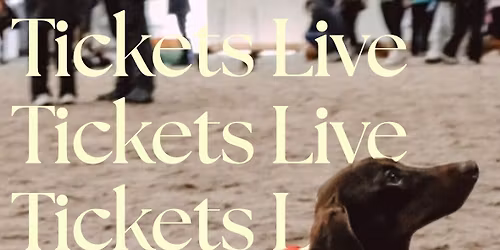 Sausage Fest - Christmas Special! \ud83c\udf85\ud83c\udf84\ud83c\udf81