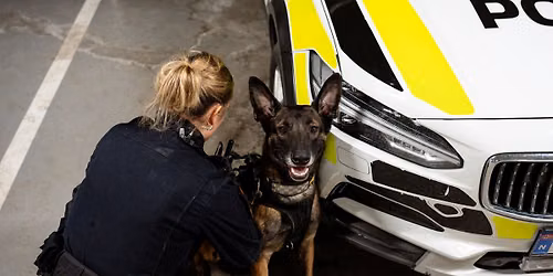 Politiets dag i Stavern