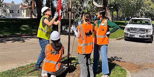 Stewardship Saturday: Restore the Bay and Beyond by Caring for Trees