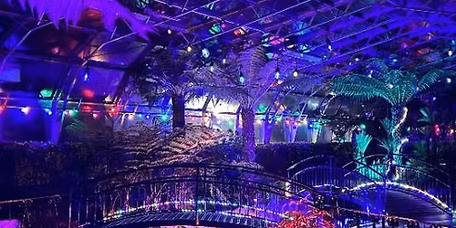 Relaxed Winter, Wonder, Wander